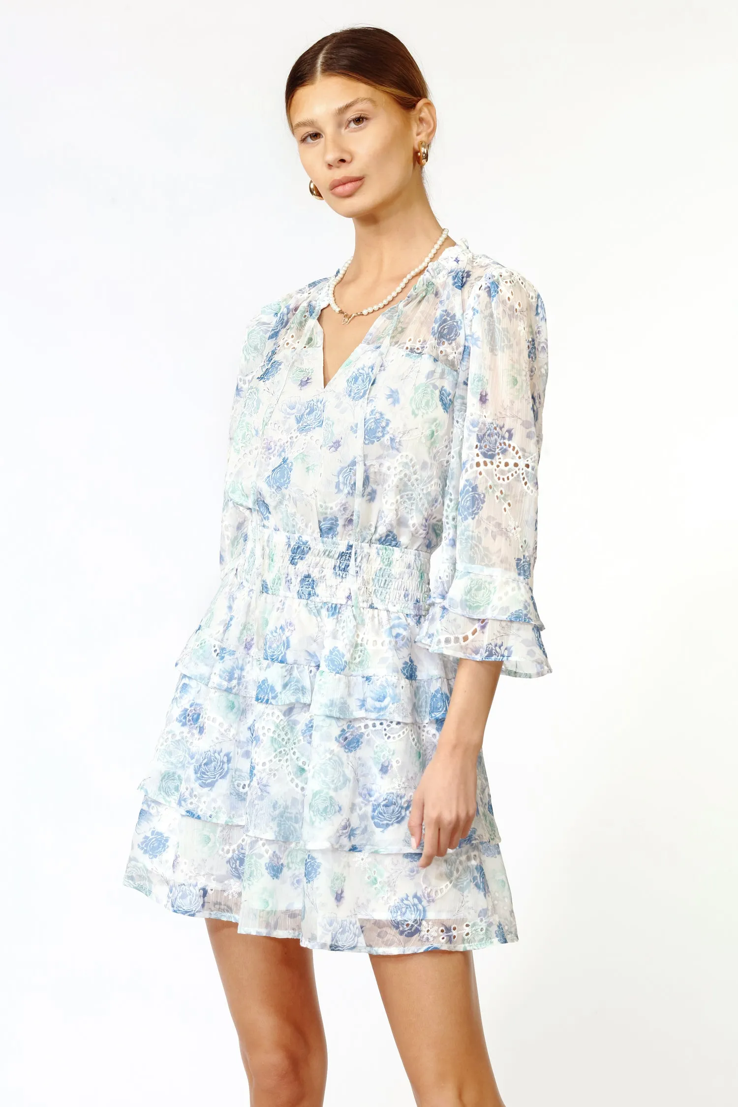 Juliana Eyelet Dress